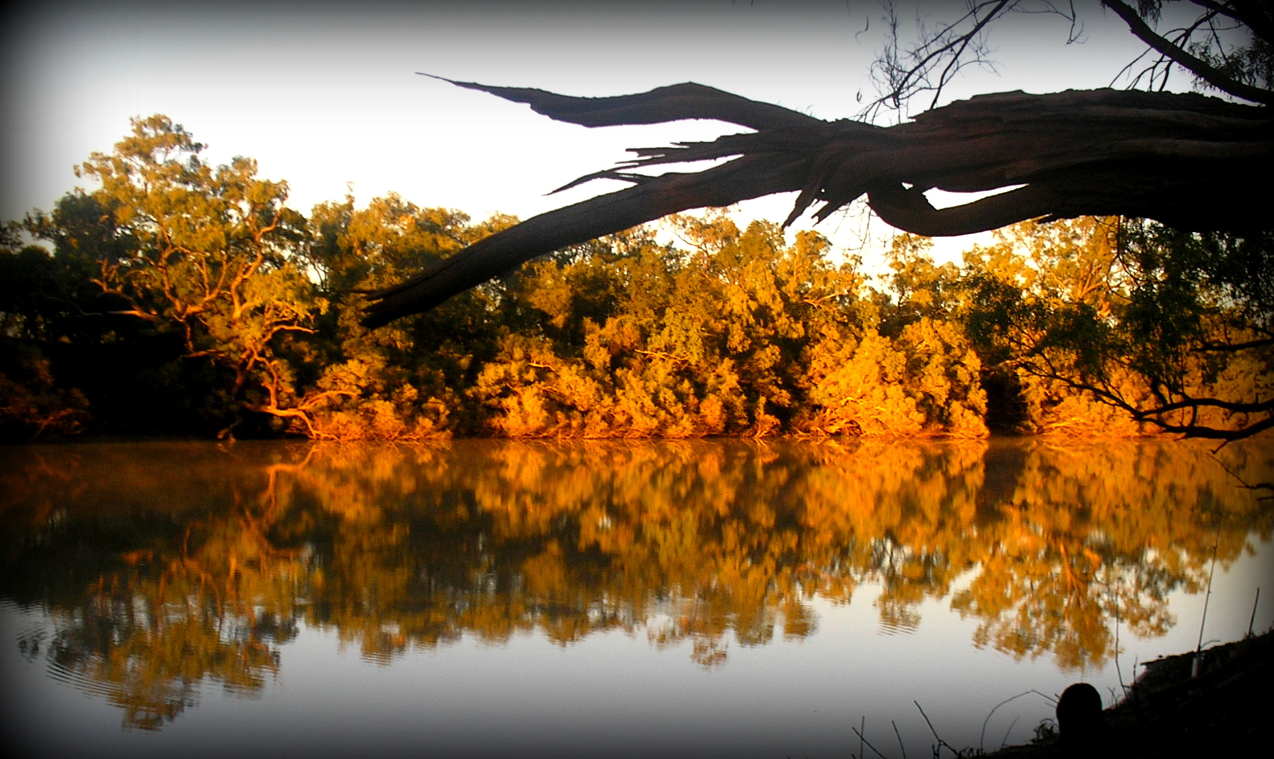 EARLY MORNING ON THE THOMPSON. LONGREACH.